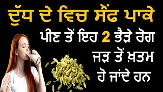 ਦੁੱਧ ਦੇ ਵਿਚ ਸੌਂਫ ਪਾਕੇ ਪੀਣ ਤੋਂ ਇਹ 2 ਭੈੜੇ ਰੋਗ ਜੜ੍ਹ ਤੋਂ ਖ਼ਤਮ ਹੋ ਜਾਂਦੇ ਹਨ Health punjab [upl. by Krahmer36]