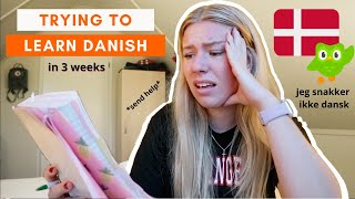 TRYING TO LEARN DANISH in 3 WEEKS Prepare with me to move to Denmark DuolingoNetflixMusic 🇩🇰 [upl. by Hedvige]