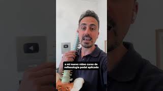 VIDEOCURSO de reflexologia podal para el dolor de espalda Participa Gratis o PREMIUM reflexologia [upl. by Jurgen]