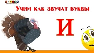 Алфавит русский Учим Буквы и Звуки с Кругляшиком  Буква И [upl. by Jona]