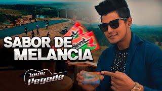 SABOR DE MELANCIA  Grupo Tome Pegada Clipe Oficial [upl. by Dupuy]