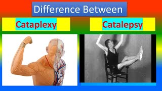 Difference between Cataplexy and Catalepsy [upl. by Eedissac456]