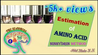 Quantitative Estimation of Amino Acids by Ninhydrin Method [upl. by Cheslie]