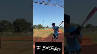 2017 Green Zen VS The 2023 Cat X baseball viral youtubeshorts [upl. by Imena38]