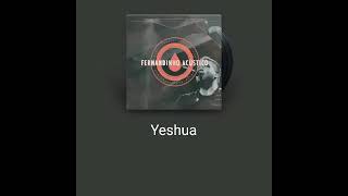 fernandinho yeshua cover [upl. by Erdah8]