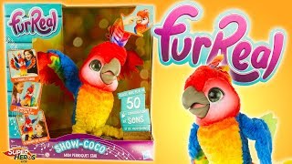 FurReal Show Coco le Perroquet Star Parrot Rock A Too Singing Bird Toy Jouet Hasbro Noel 2018 [upl. by Cawley]