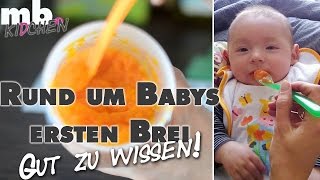 Einführung Babybrei  Wann Wie Warum  Beikost selber kochen  mamiblock kidchen  Der Mami Blog [upl. by Nirra]