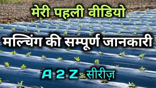 what is mulching।।MY FIRST VIDEO ON YouTube।। मल्चिंग की संपूर्ण जानकारी।।Mulching directions to use [upl. by Ahcsropal]