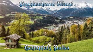 Fischbachalm Musi  Hahnpfalz Polka [upl. by Wooster949]