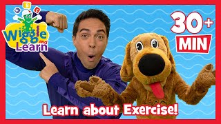 Wiggle and Learn 📚 Fun Exercise Activities for Kids 🤾‍♀️ Get Strong and Healthy with The Wiggles [upl. by Nathalia]