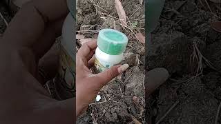 Azoxystrobin 182 Difenoconazole 114 fungicide use in hindi magnite fungicide [upl. by Ahsinel418]