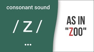 Consonant Sound  z  as in quotzooquot – American English Pronunciation [upl. by Oelak982]