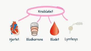 Kredsløbet Introduktion til kredsløbet [upl. by Ylen]