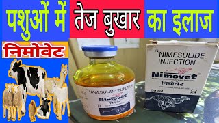 पशुओं में तेज बुखार का इलाज निमोवेट इंजेक्शन Nimovet injection veterinary uses in hindi Nimesulide [upl. by Garik]