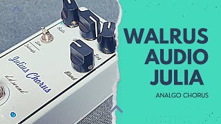 WALRUS AUDIO  JULIA ddsound CLONE [upl. by Vano855]