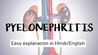 What is PYELONEPHRITIS l kidney infection medical pathology kidney pyelonephritis youtube [upl. by Egwan]