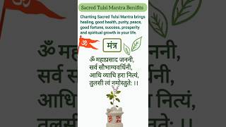 Sacred Tulsi Mantra ☀️💚🌿🪔 [upl. by Zephaniah]