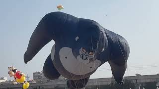 Kite Flyting Festival Hyderabad [upl. by Fem]