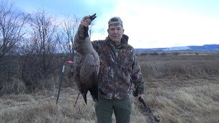 Archery Goose shot on the fly  Fred Eichler [upl. by Mcnutt]