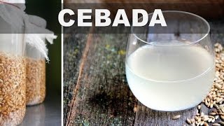 Estos son los 5 mejores beneficios del agua de cebada para la salud del cuerpo [upl. by Lissi170]