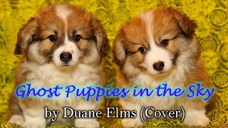 Ghost Puppies in the Sky  parody by Duane Elms Cover [upl. by Ilatfan]