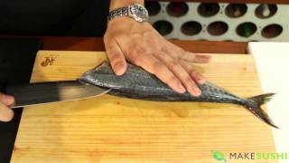 Mackerel Fish Filleting [upl. by Lebna]