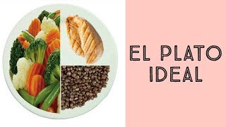 Como BAJAR DE PESOo sin contar calorias EL PLATO IDEAL [upl. by Krein]