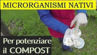 i MICRORGANISMI NATIVI posizionare le esche [upl. by Islehc433]