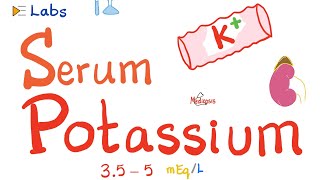 Serum Potassium  Hyperkalemia amp Hypokalemia  Electrolytes Series [upl. by Anitnatsnoc]