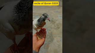 Kar do Karam Mola Kar do Karambeautiful voice📈 videoyoutube  quran [upl. by Nnalyrehs597]