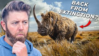 6 Extinct Animals That Could Actually Come Back [upl. by Sink]