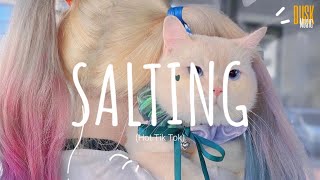 Salting remix cute  DJ Topeng  Dusk Music x Dangling Video Lyrics Tik Tok Song [upl. by Solrac559]