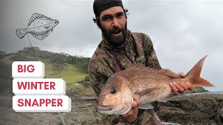 BIG SNAPPER Off The Rocks  Coromandel [upl. by Ertnom230]