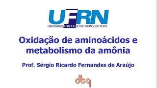 Curso de Bioquimica Oxidação de aminoácidos e ciclo da uréia [upl. by Dyson]