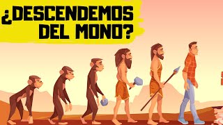 🐒TEORÍA de la EVOLUCIÓN de DARWIN ✅ EXPLICACIÓN RÁPIDA y SENCILLA [upl. by Idok]