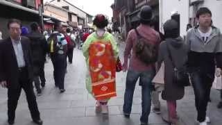 京都 本物の舞妓さんは歩くのが早い！ Maiko at Gion Kyoto [upl. by Bevin640]