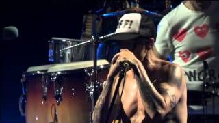 RHCP  Bonnaroo Festival 2012 Full Show [upl. by Octavia]