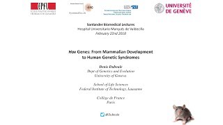 Hox Genes From Mammalian Development to Human Genetic Syndromes [upl. by Enileqcaj]