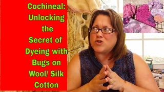 Cochineal Unlocking the Secret of Dyeing with Bugs on Wool Silk amp Cotton [upl. by Sapphera371]