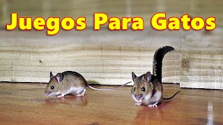 Juegos Para Gatos  Atrapa a los Ratones  Ratón en el agujero 🐭 [upl. by Heshum]