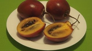 How to Eat Tamarillo Tree Tomato Tamamoro [upl. by Saloma]