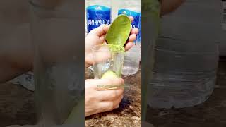 BEST amp EASY WAY TO PEEL AVOCADO fruit shorts trending  Novo Vizcayano Channel [upl. by Kelci]