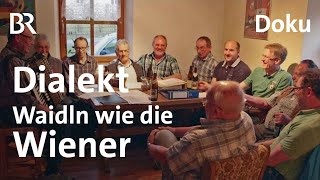 BairischWienerisch Hä und Glä  Der Dialekt von Rattenberg  Spessart und Karwendel  BR  Doku [upl. by Guerra]