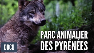 Parc Animalier des Pyrénées  Reportage [upl. by Stig796]