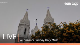 velankanni live mass today  velankanni live [upl. by Silecara]