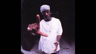 Big L  Flamboyant remix [upl. by Lorac]