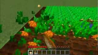 Minecraft How To Farm Carrots And Potatoes [upl. by Ielerol]