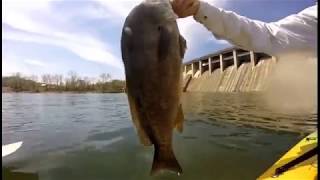 Kayak Fishing Bagnell Dam [upl. by Atteragram2]