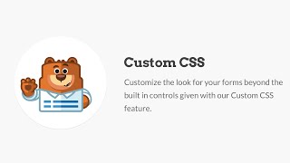 WPForms Custom CSS [upl. by Ahsirhcal]