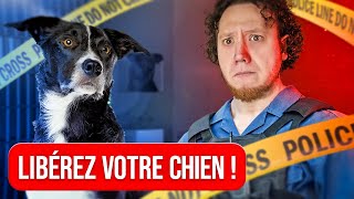 LIBÉRER  Lordre le plus IMPORTANT en éducation canine [upl. by Helaina993]